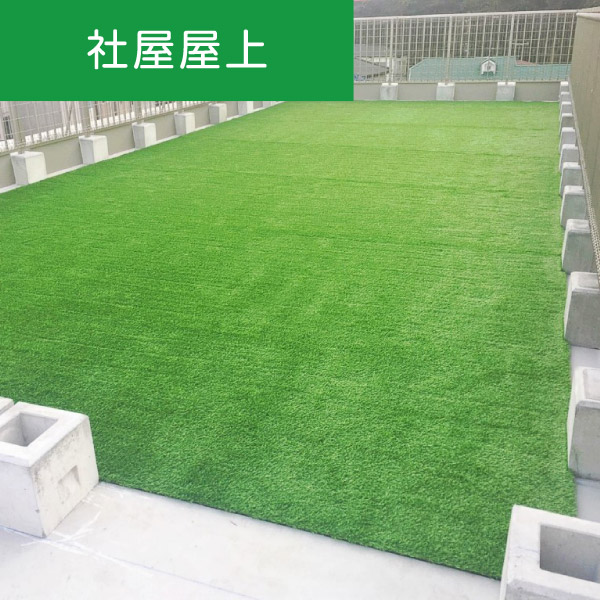 人工芝:カラオケルーム室内